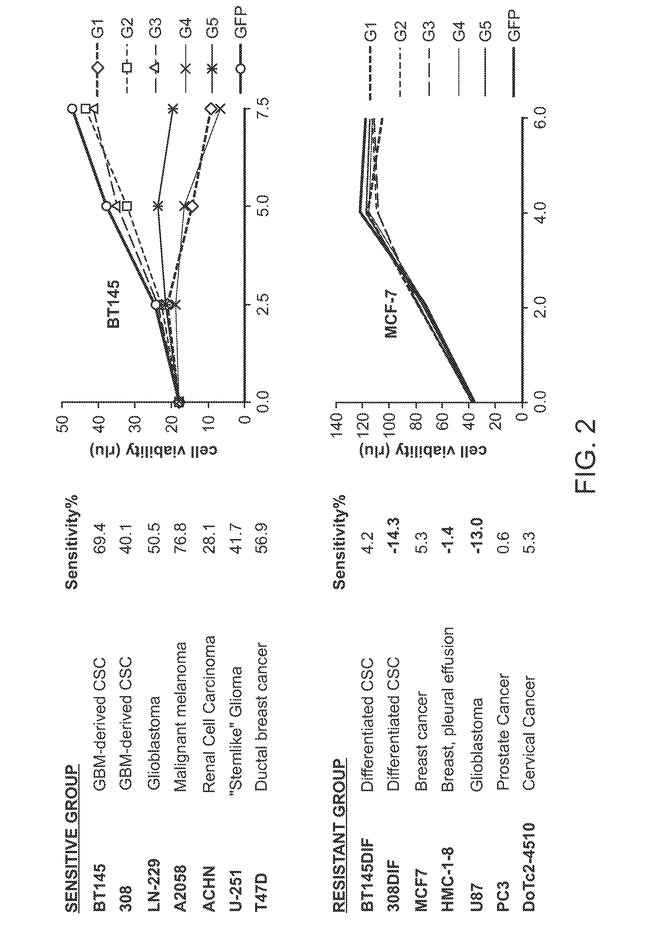 Inhibition of the glycine cleavage system for treatment of cancer