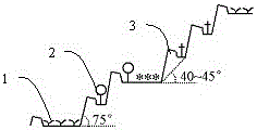 Afforestation Method of Mixed Slopes in Wide and Narrow Terraced Fields