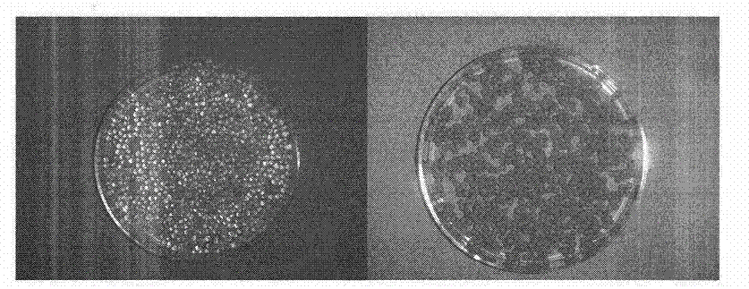 Method for preparing drug-loading nanocomposite through ball-milling modification of mineral soil and application