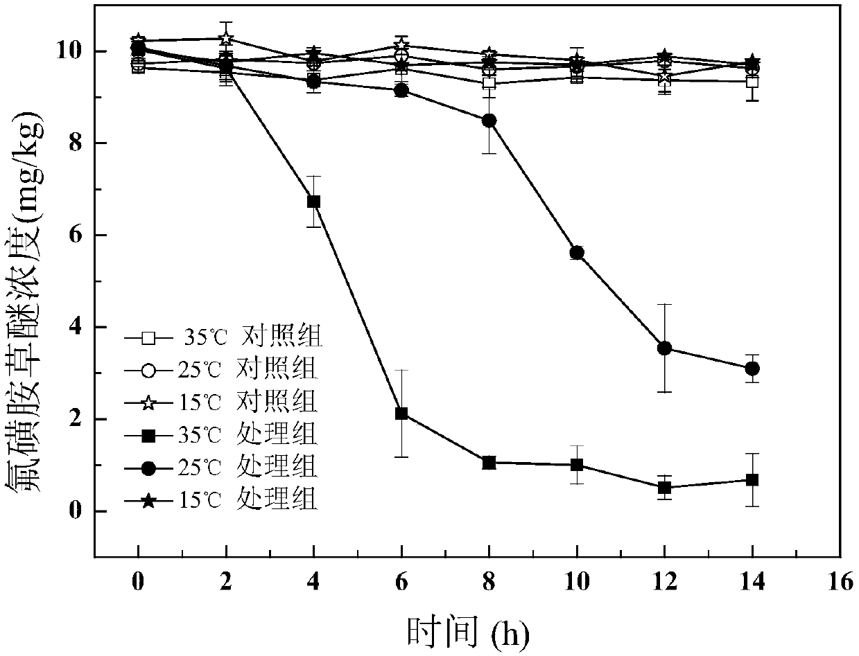 A fomesafen-degrading bacterium and its application