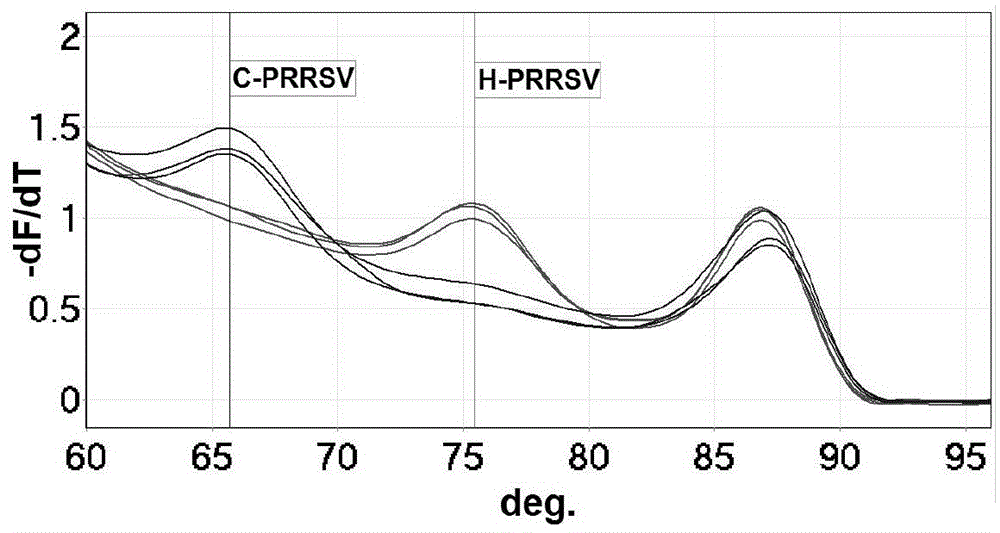 HRM (high-resolution melting) label-free probe method, primer and probe for quickly differentiating PRRSV (porcine reproductive and respiratory syndrome virus) classical strains and mutant strains