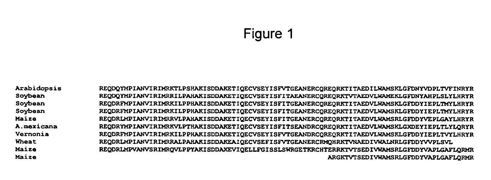 Transcriptional activator nucleic acids, polypeptides and methods of use thereof