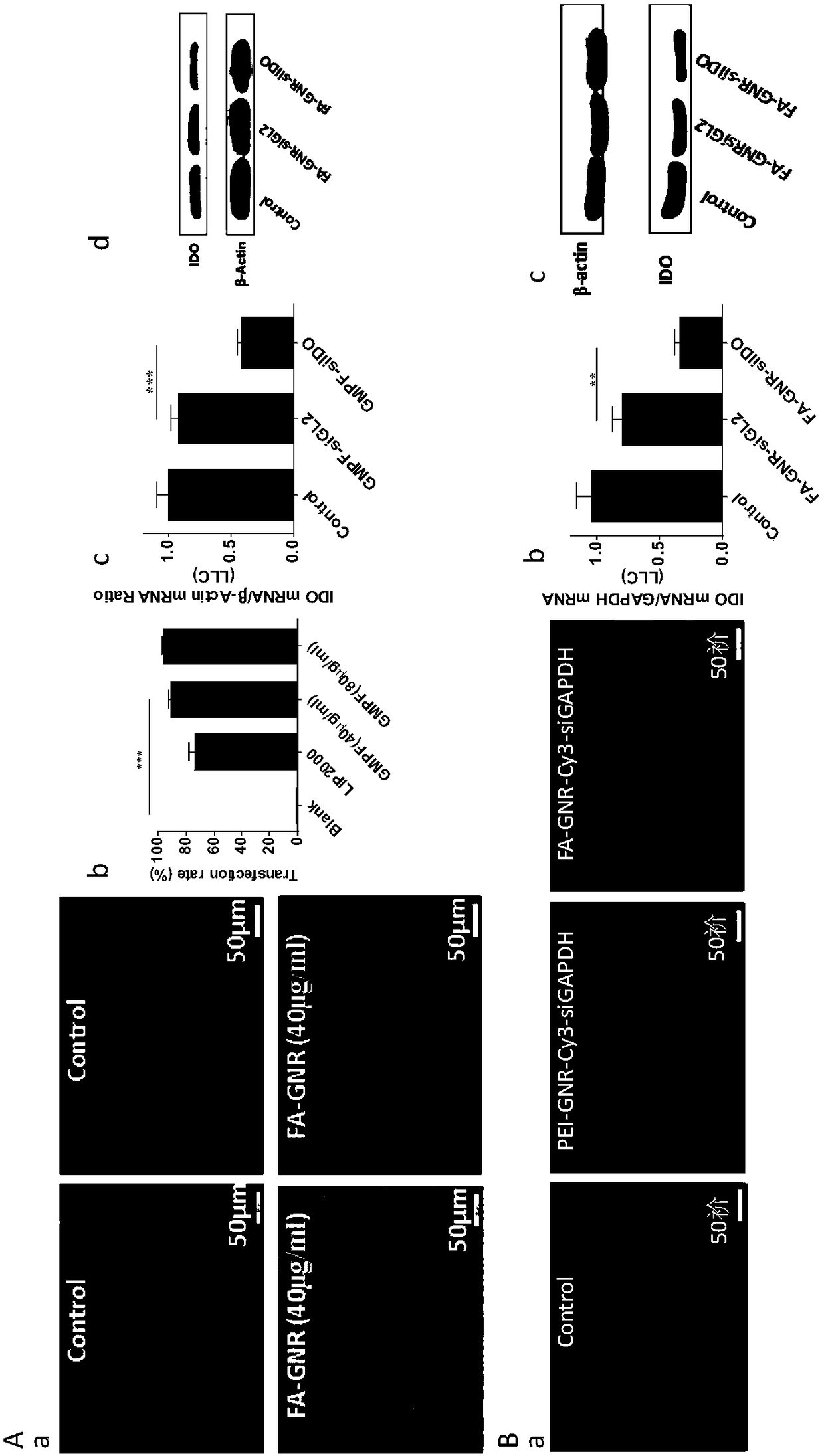 Multi-functional tumor-targeted nanometer preparation and construction method and application in treating tumors thereof