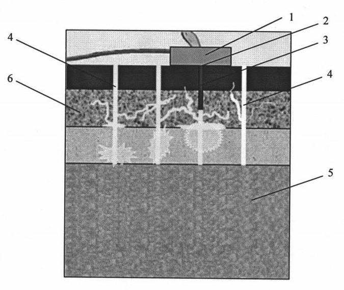 Road base reinforcing high-polymer loading and grouting method