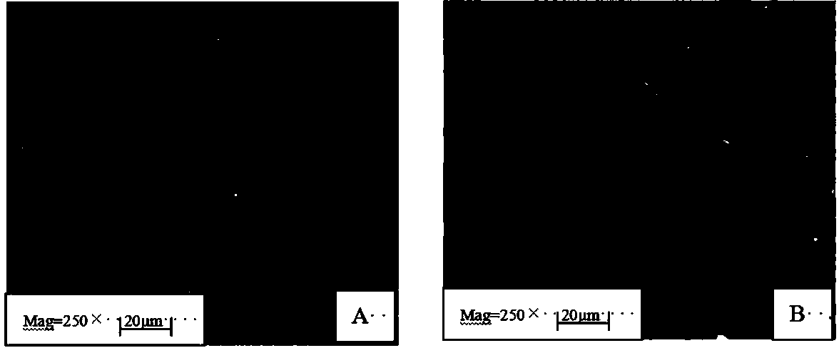 Preparation method of membrane material used for adsorbing alkaloid