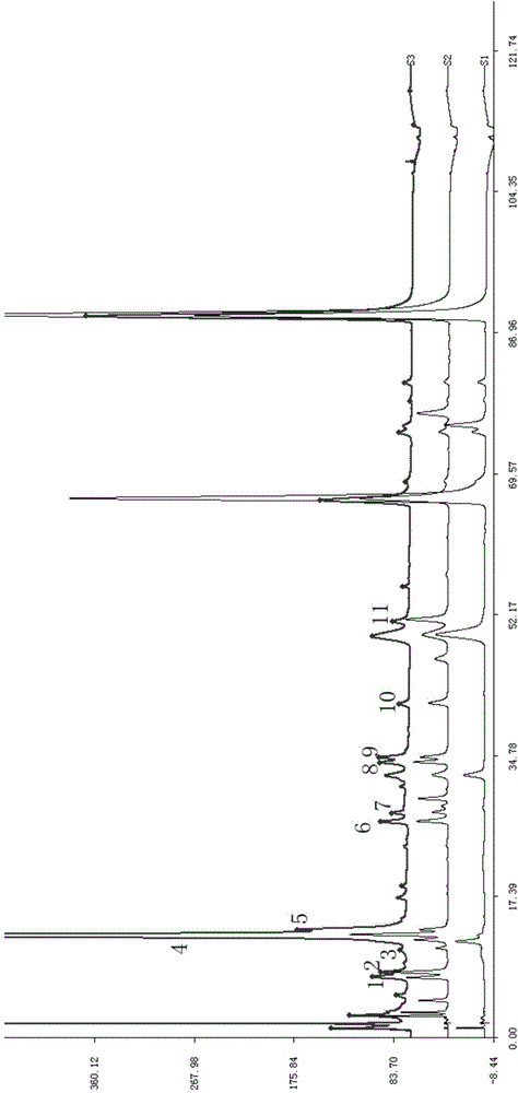 Detection method and construction method of amino acid fingerprint of Xiaoer Qixing tea preparation