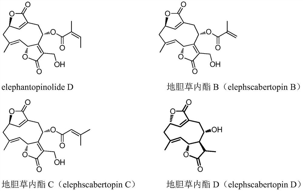 Elephantopin compound as well as preparation method and application thereof