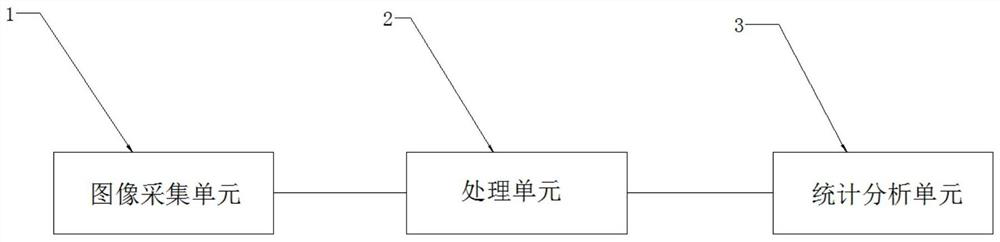 Chain store guest flow volume acquisition and analysis system