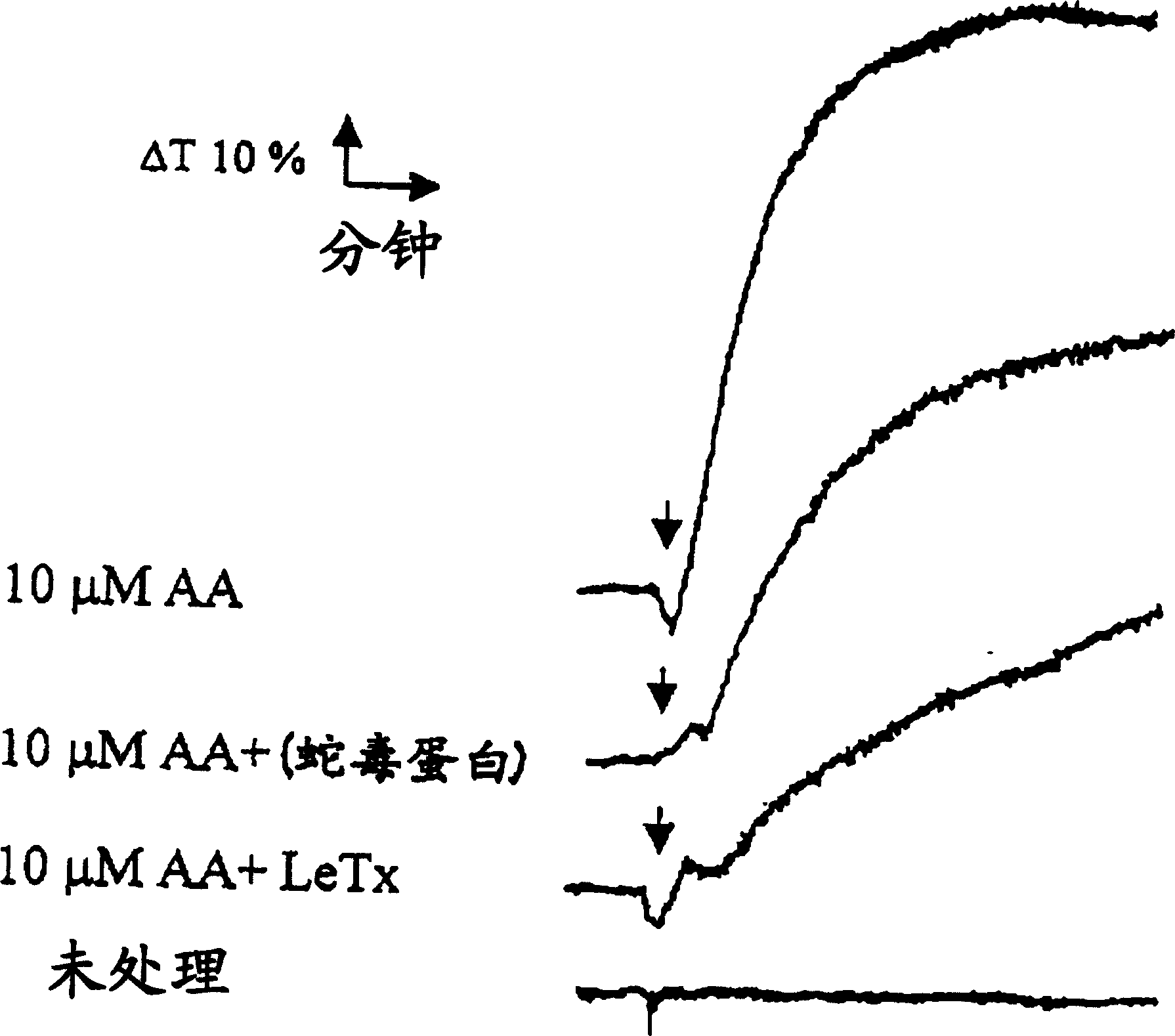 Novel usage of soluble P-lectin and anthrax lethal toxin