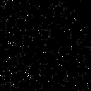 Monodisperse water soluble ferroferric oxide nano particles