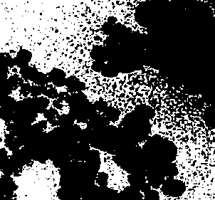 Monodisperse water soluble ferroferric oxide nano particles