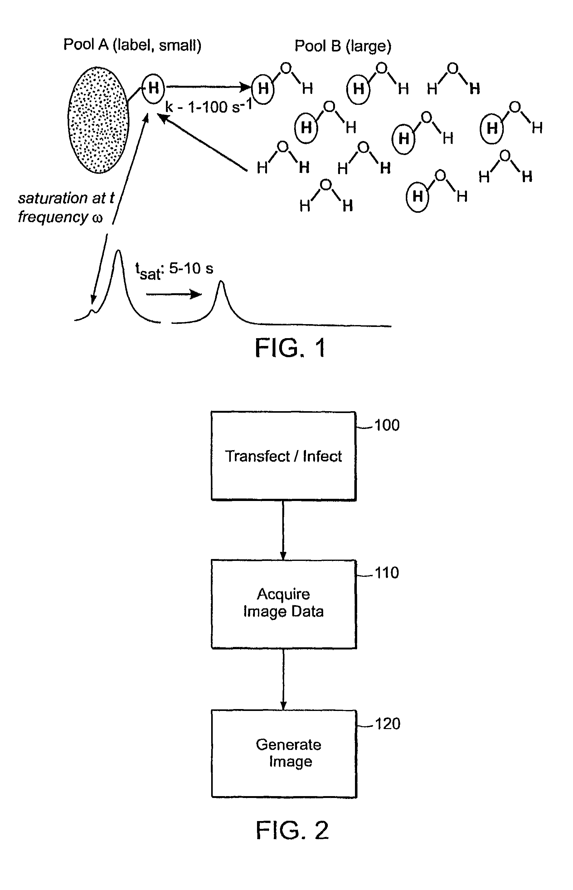 Chemical exchange saturation transfer based MRI using reporter genes and MRI methods related thereto