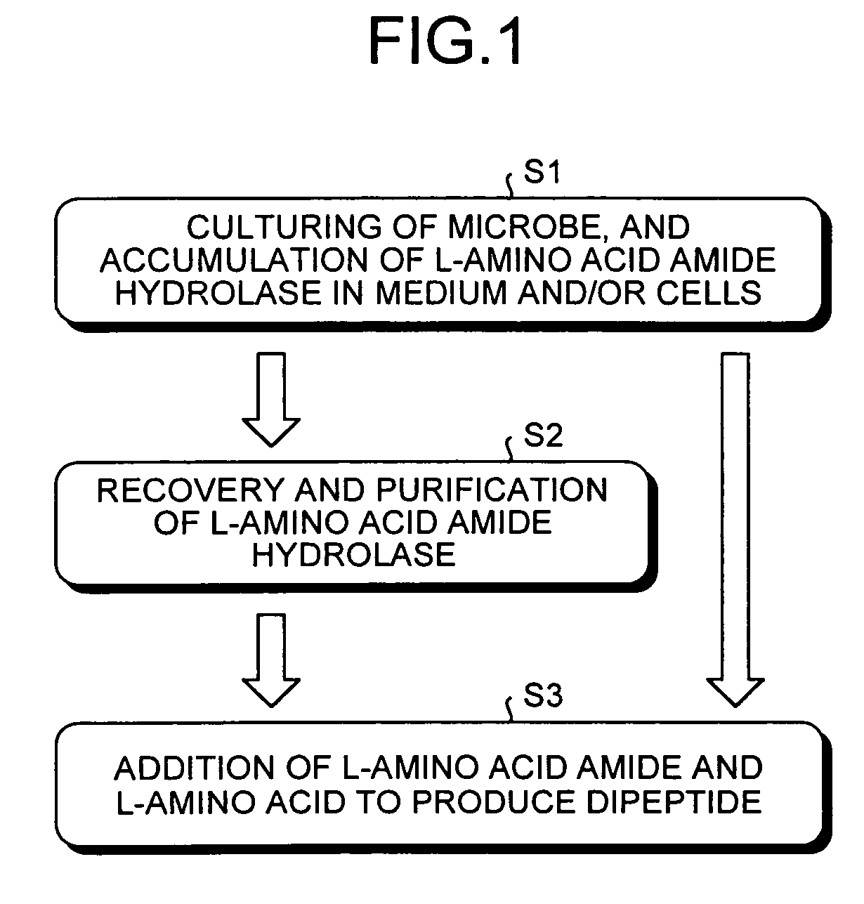 Dipeptide production method, L-amino acid amide hydrolase used therein, and production method of L-amino acid amide hydrolase