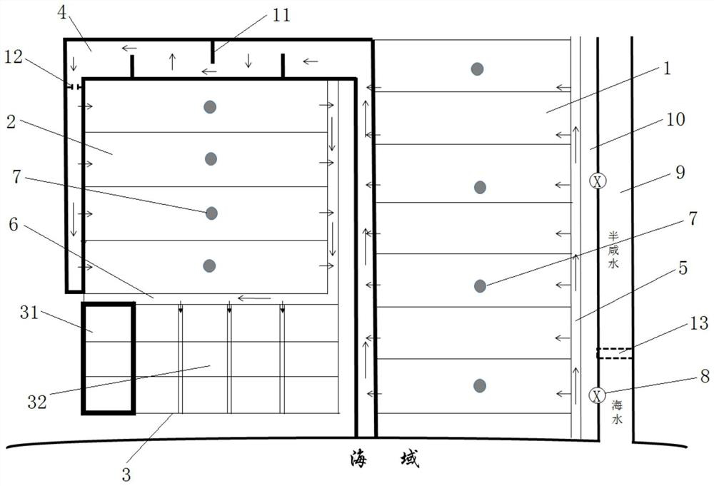 Coastal constructed wetland ecological maintenance system and ecological maintenance method