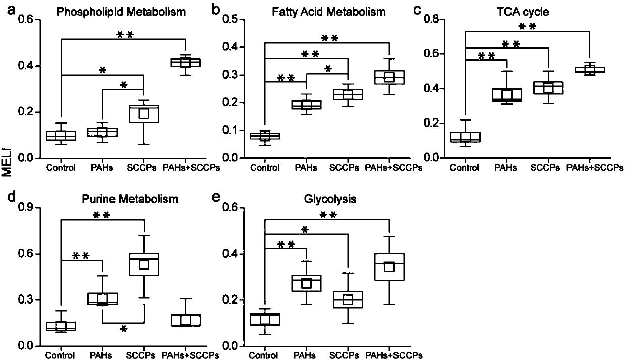 Method for evaluating toxicity effects of low-dose combined exposure of organic pollutants based on metabonomics technology