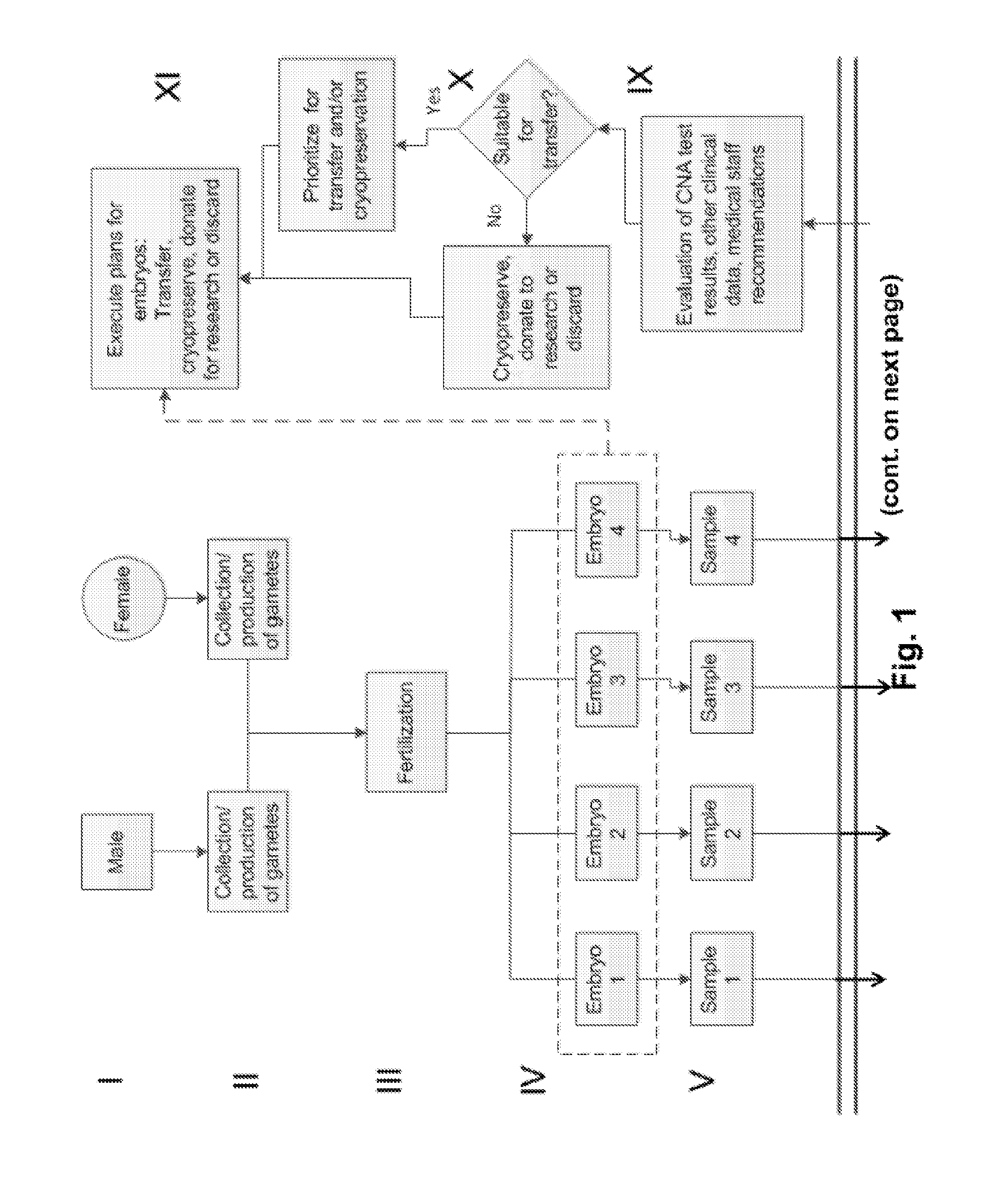 Compositions and methods for genetic analysis of embryos