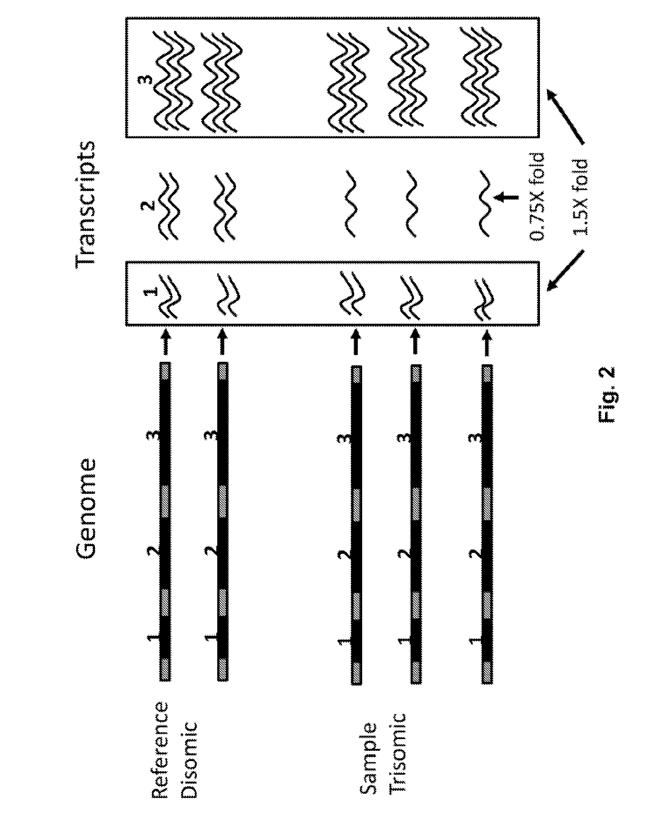 Compositions and methods for genetic analysis of embryos