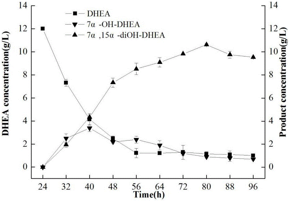 Method for promoting efficient conversion of Colletotrichum lini to DHEA (dehydroepiandrosterone) by adding ethylene glycol