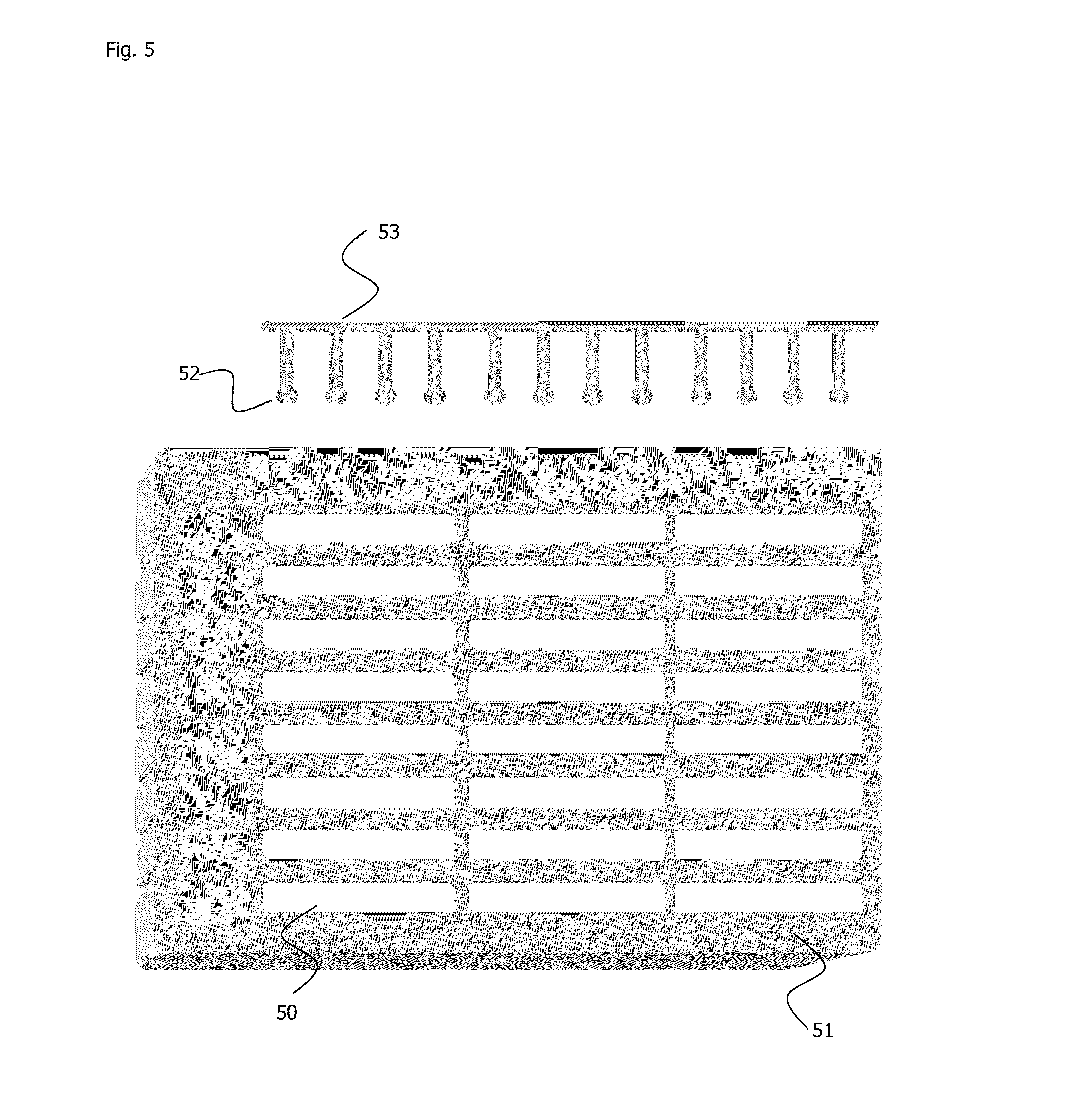 Device, method and kit for the detection of different markers in different cellular or molecular types and their quantifications