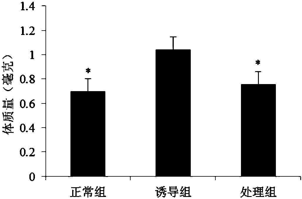 Use of alkaloid compound in preparing anti-obesity drug