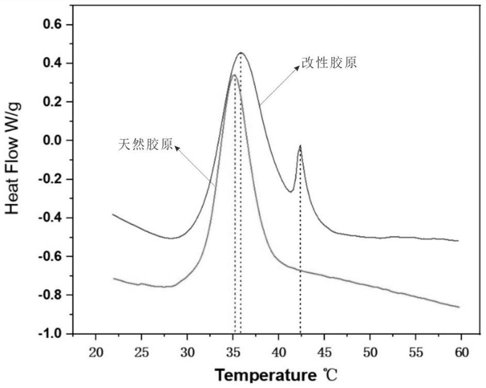 A kind of collagen hydrophobic modifier and its preparation method and the method for modifying collagen