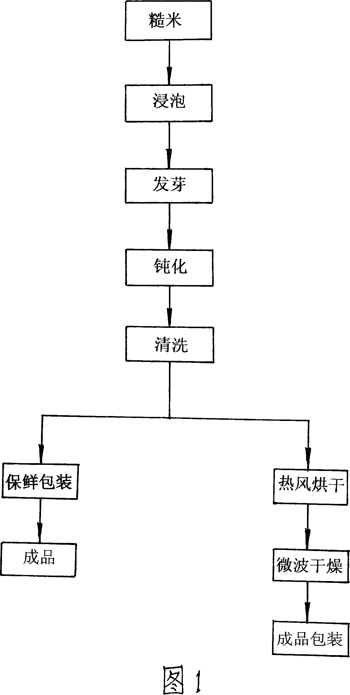 Method and equipment for producing sprouting half-polished rice