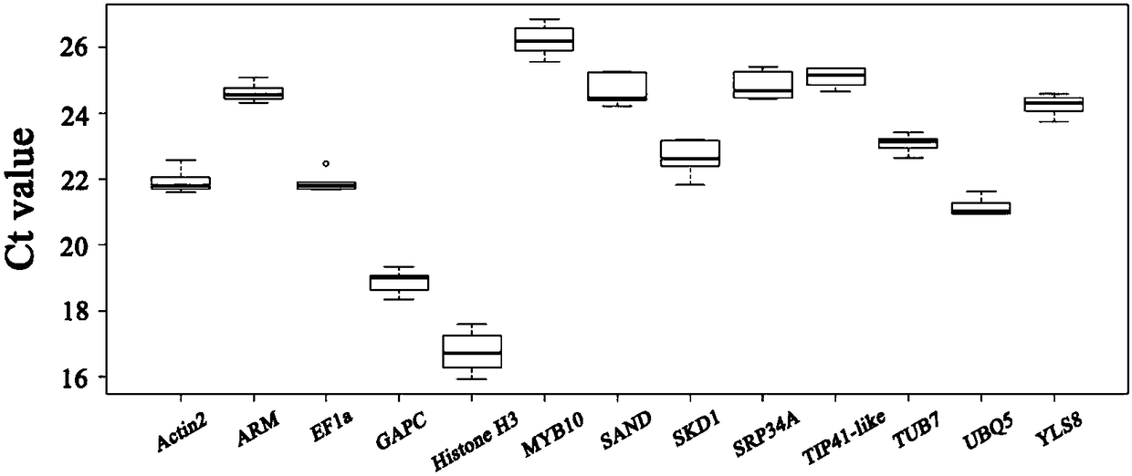 Fluorescence quantitation internal reference genes of leaf tissues of different parts of two pear trees different in three form and primer and application thereof