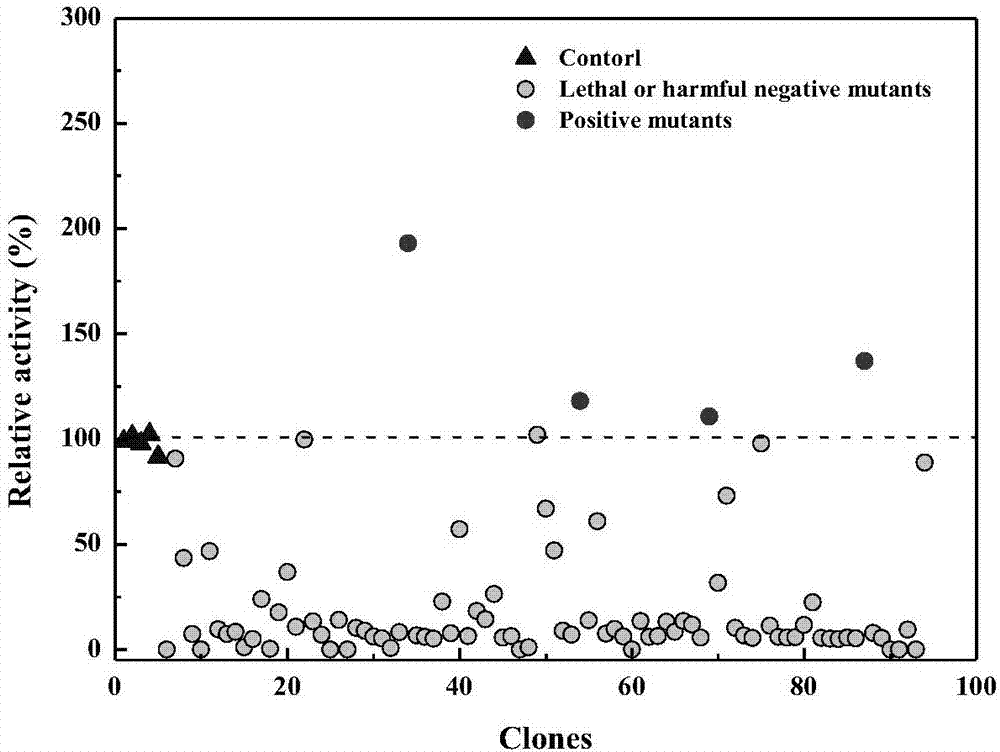 Recombinant carbonyl reductase mutant, gene, vector, engineering bacterium and application of recombinant carbonyl reductase mutant