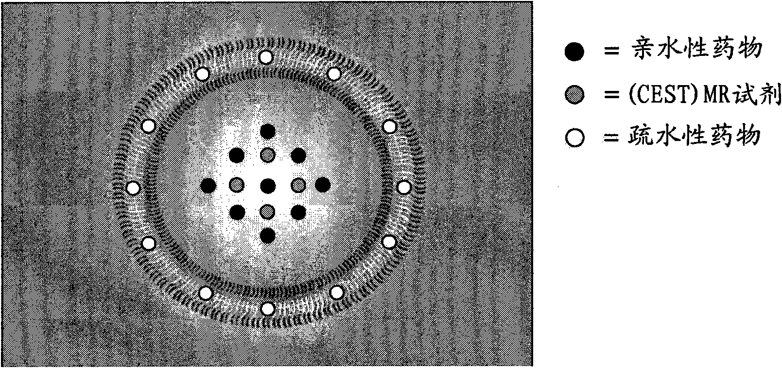 Polymeric drug carrier for image-guided delivery