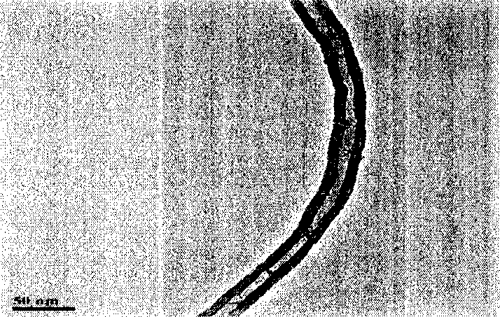 Method for preparing terbium oxide assembled carbon nano tube composite material