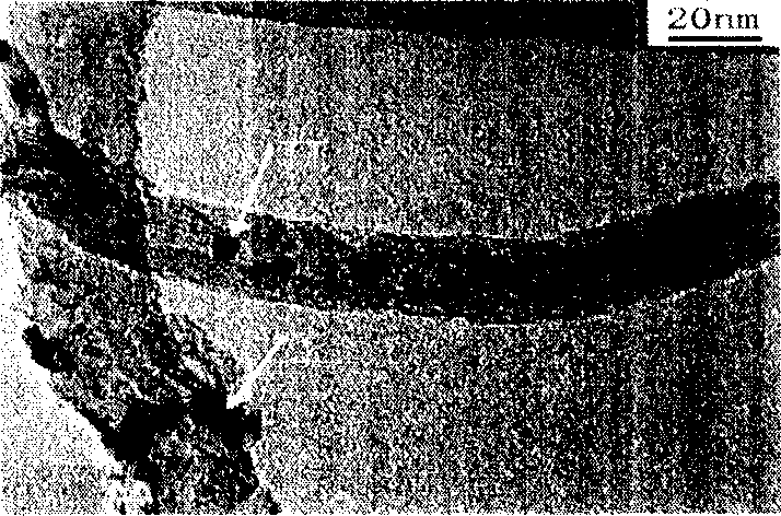 Method for preparing terbium oxide assembled carbon nano tube composite material