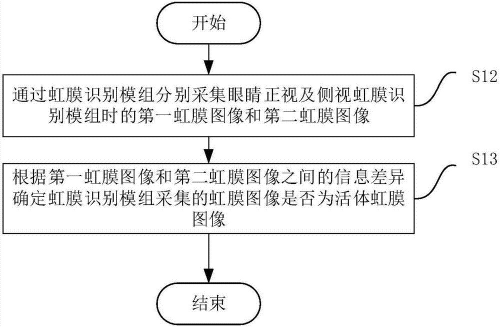 Live iris detection method, electronic device and computer readable storage medium