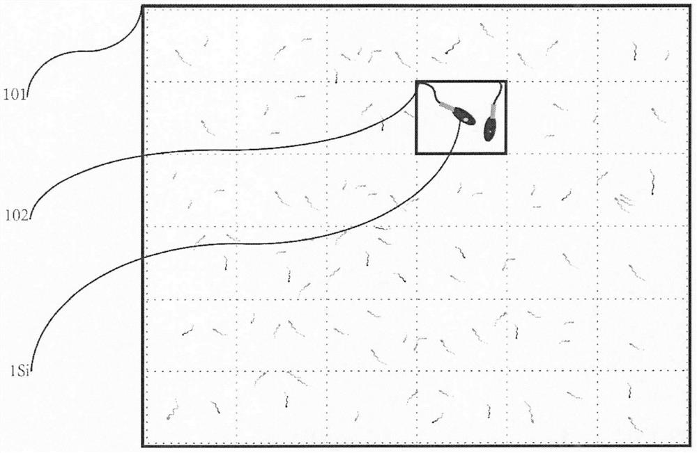 A New Method for Evaluating the Quality of Sperm