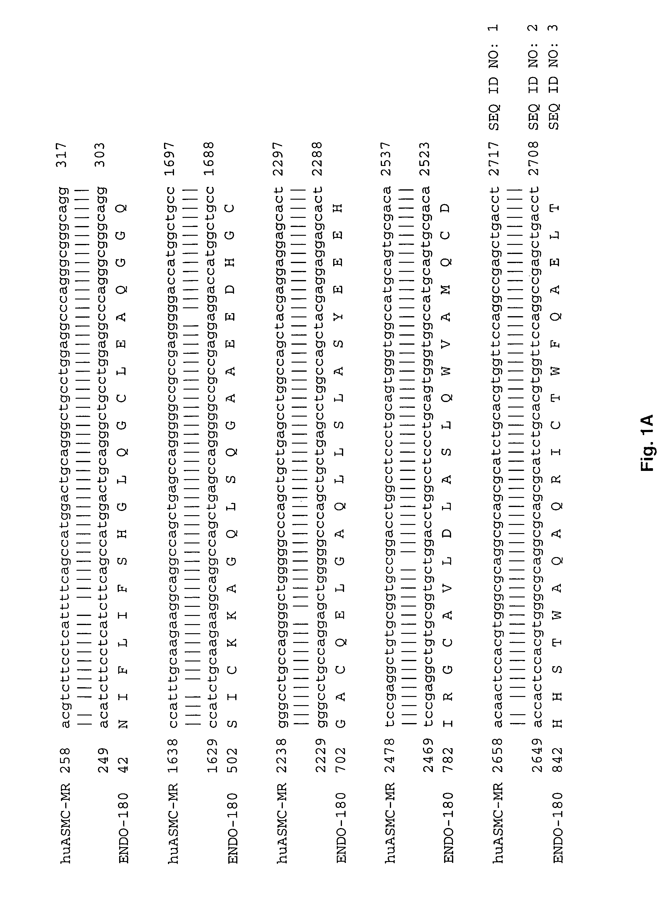 Use of mannan from saccharomyces cerevisiae for the treatment of asthma