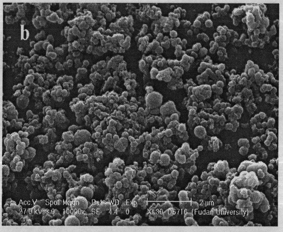 Preparation method of colloidal carbon spheres loaded with magnetic Fe3O4 nanoparticles on surface