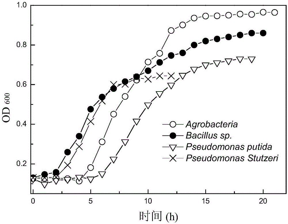 A kind of composite flora for degrading electroplating wastewater and its preparation method