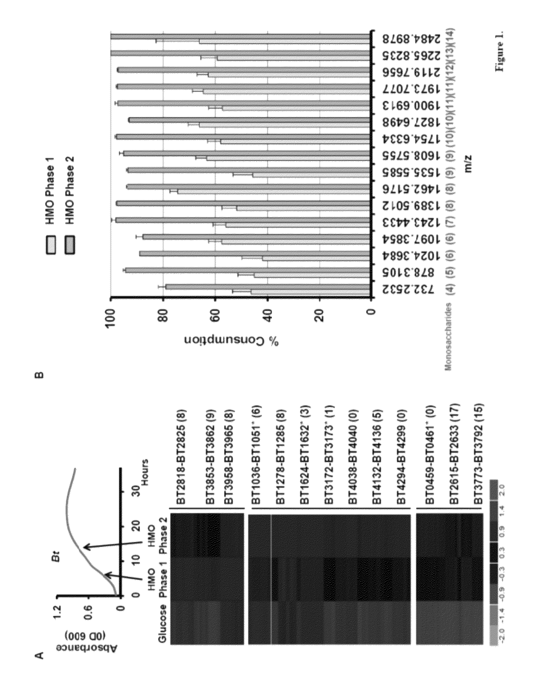 Therapeutic use of mucin glycans