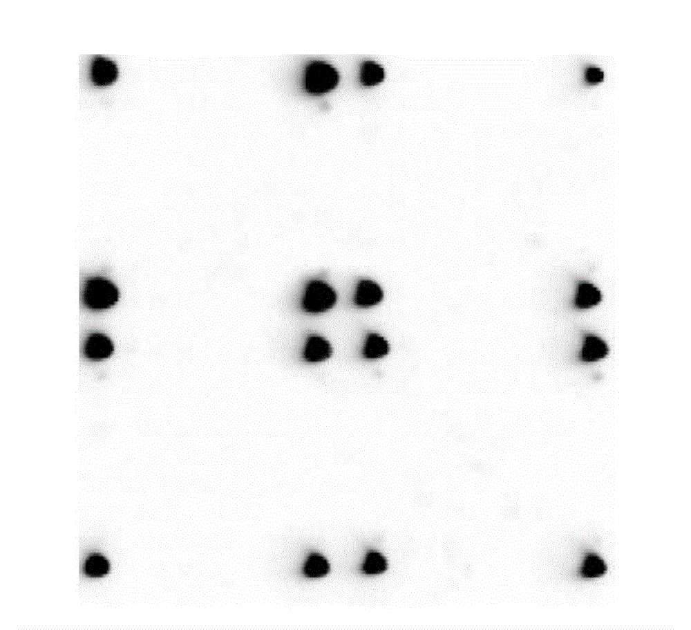 Polypeptide, detection device containing polypeptide and detection kit containing device