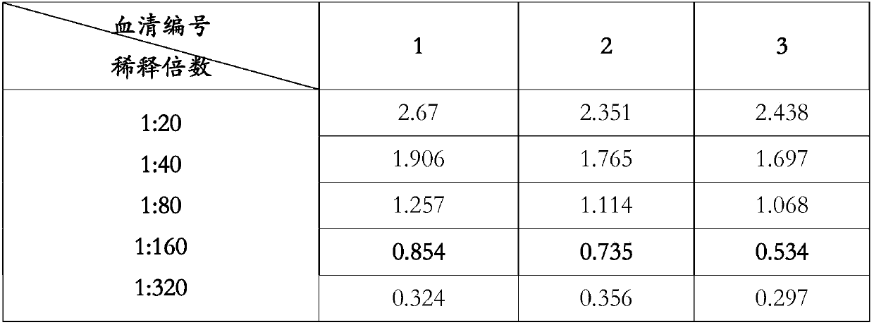 Seneca valley virus structural protein epitope polypeptide and application thereof