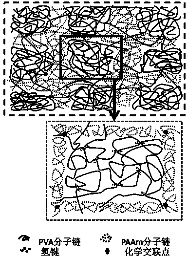 Preparation method of high-strength double-layer network hydrogel capable of being subjected to fatigue repair