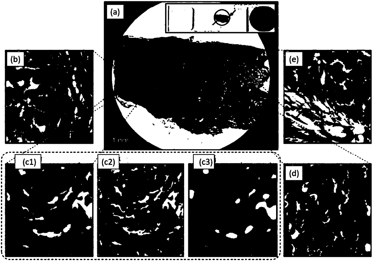 Fourier cascading imaging system based on multi-angle illumination and Fourier domain coded modulation