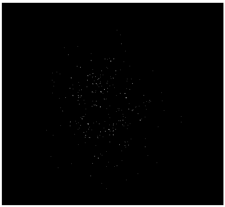 Method for extracting gap fraction of vegetation canopy by three-dimensional laser point cloud