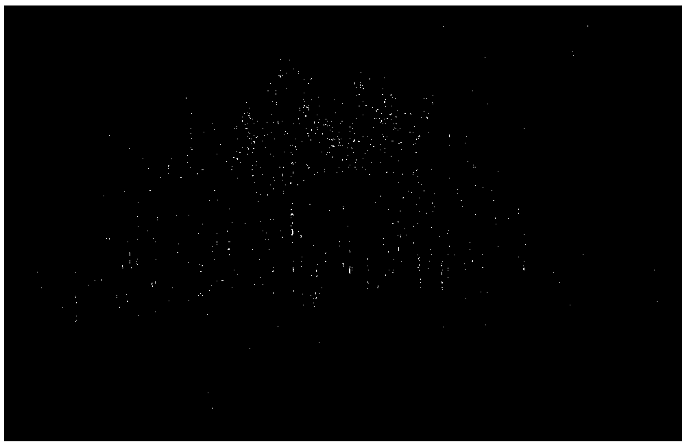 Method for extracting gap fraction of vegetation canopy by three-dimensional laser point cloud