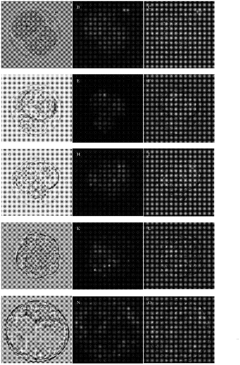 Electroporation method for transfection of mammal embryo with siRNA (small interfering Ribose Nucleic Acid)