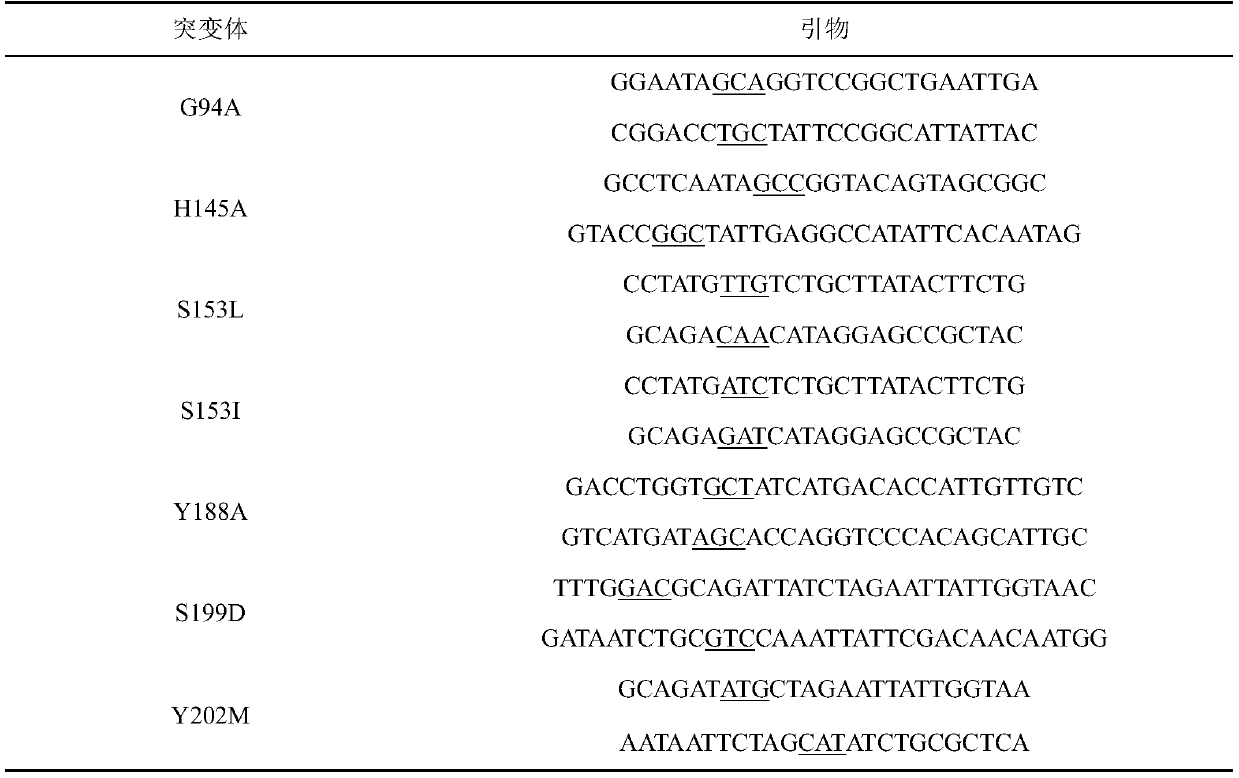 Carbonyl reductase mutant, recombinant expression carrier and application of carbonyl reductase mutant and recombinant expression carrier to production of chiral alcohol