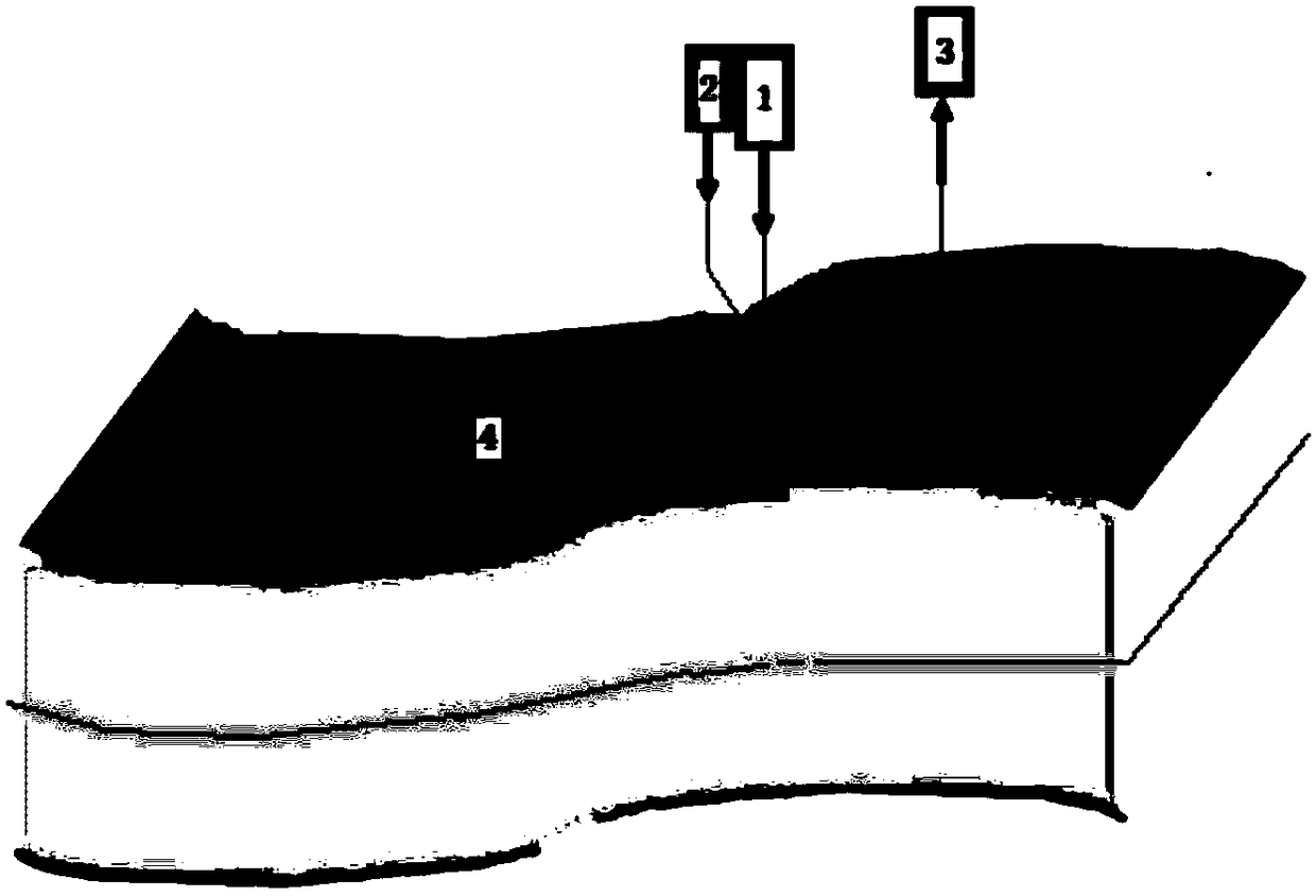 A Laser Ultrasonic Experimental System of Physical Model of Undulating Surface