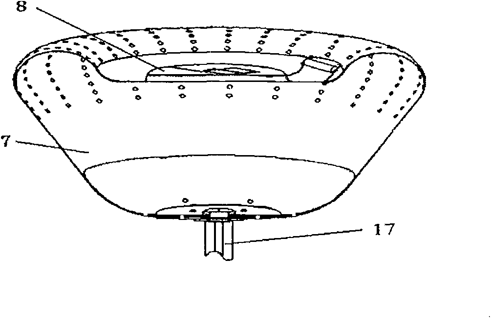 Special-shaped drum washing machine