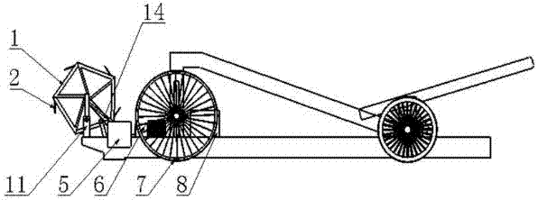 Leek harvester