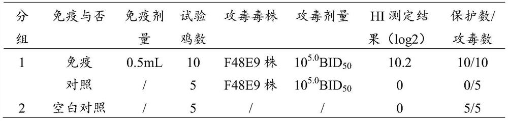 A kind of poultry adenovirus, a kind of quadruple vaccine and preparation method thereof