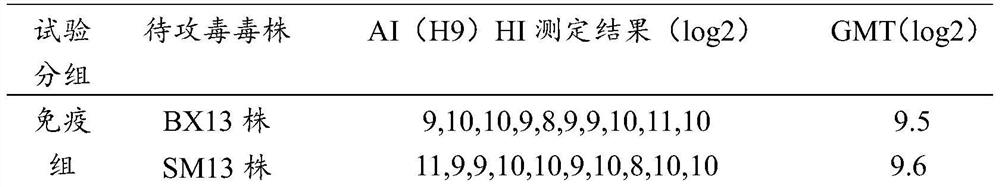 A kind of poultry adenovirus, a kind of quadruple vaccine and preparation method thereof